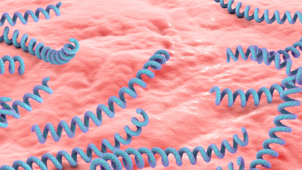 A digital microscopic illustration of a microorganism