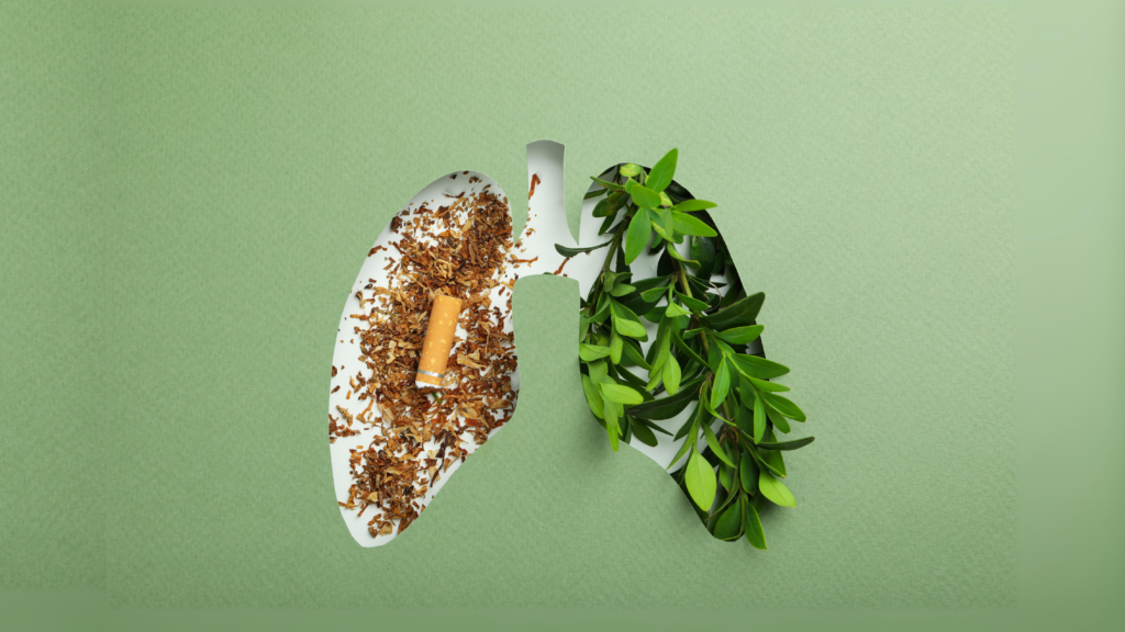 an illustration of a lung with the left side full of cigarette dried leaves and on the right as a healthy green leaves