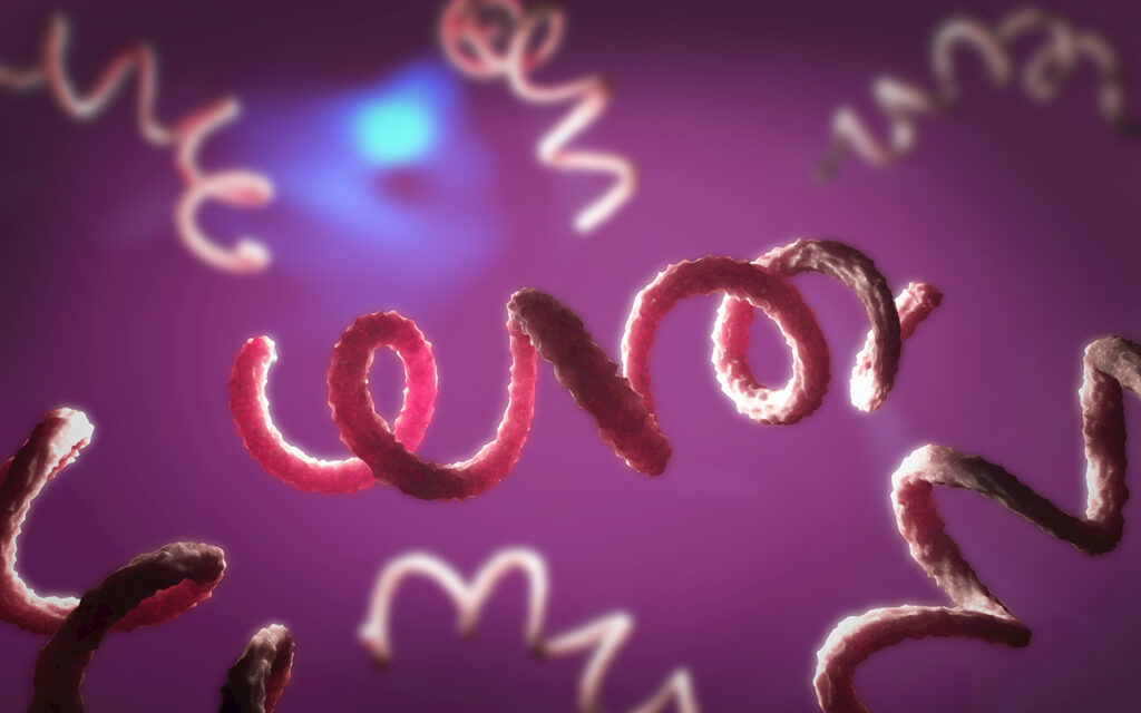 A digital microscopic illustration of a microorganism