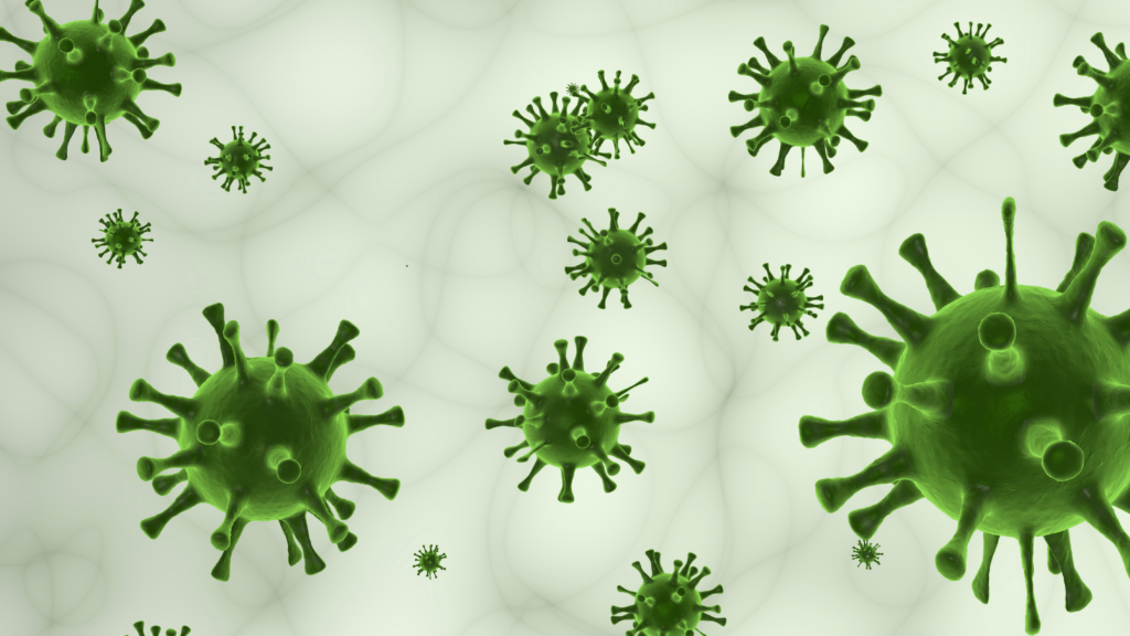 A microscopic digital picture representation of Viruses